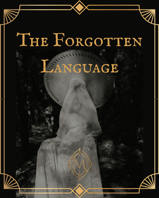 The Forgotten Language